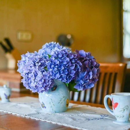 Apartamentos Rurales El Cuetu Picones  Ngoại thất bức ảnh