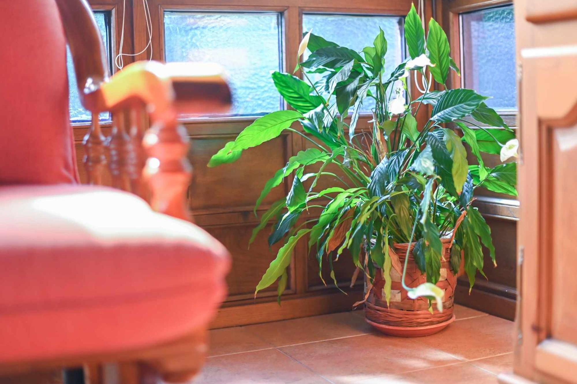 Apartamentos Rurales El Cuetu Picones  Ngoại thất bức ảnh